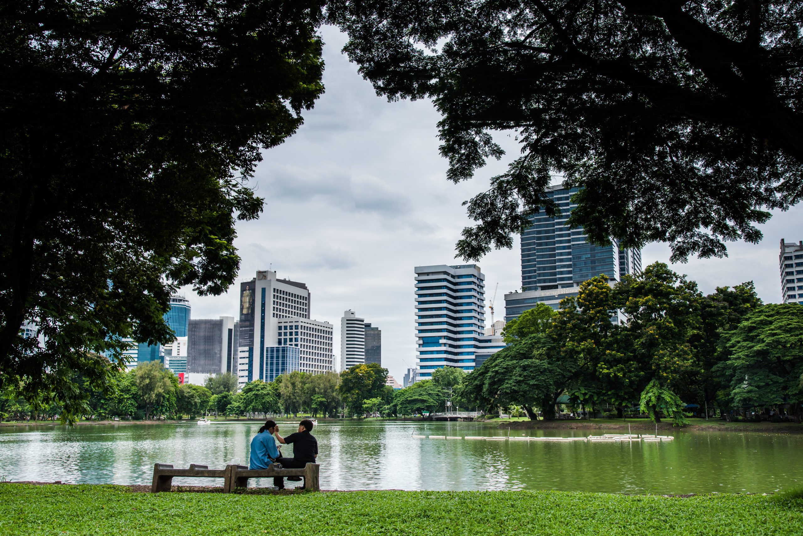 Bench near tree in public park with couple lover.